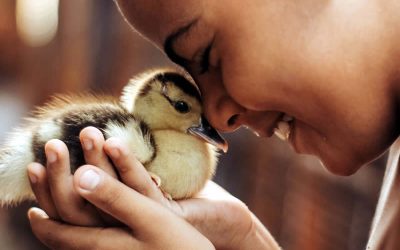 How to teach children compassion for animals