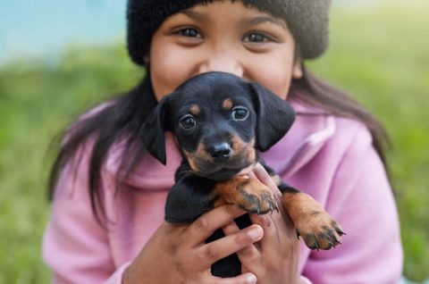 Vaccination schedule for puppies and kittens - Durban & Coast SPCA articles