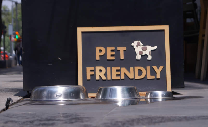 Pet friendly places