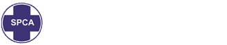 Durban & Coast SPCA