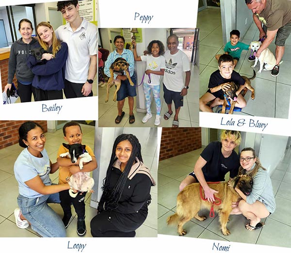 Adoptions
