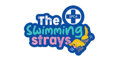 Swimming Strays