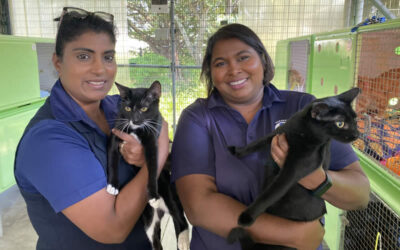 First conviction of 2025