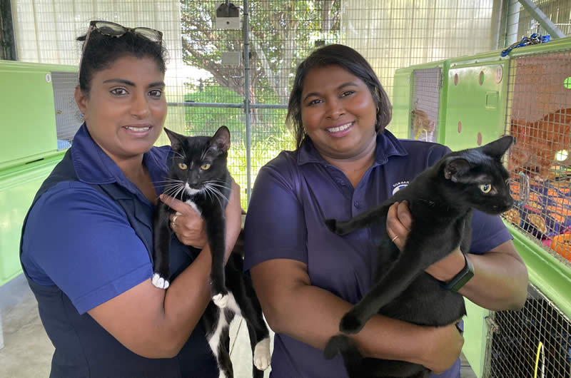 First conviction of 2025