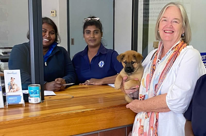 Why does the SPCA charge an adoption fee?