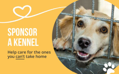 Sponsor a kennel
