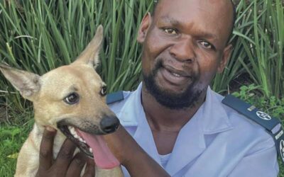 Thanks for being on our team