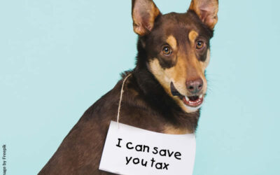 Charitable giving is good for your soul – and your wallet, thanks to Section 18A