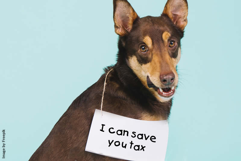 Charitable giving is good for your soul – and your wallet, thanks to Section 18A