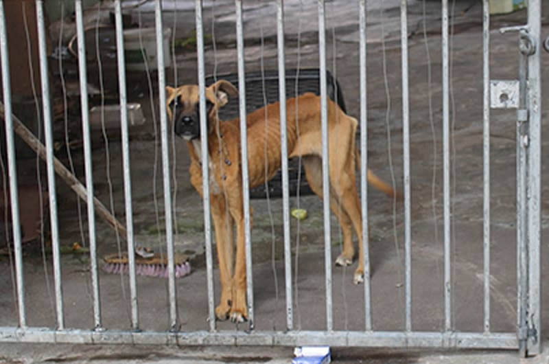 Successful conviction