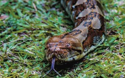 All in a day’s work