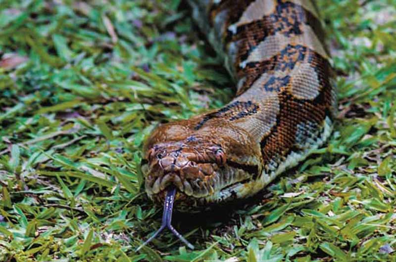 All in a day’s work