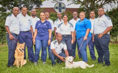 Your support was the best Christmas gift. Thank you!