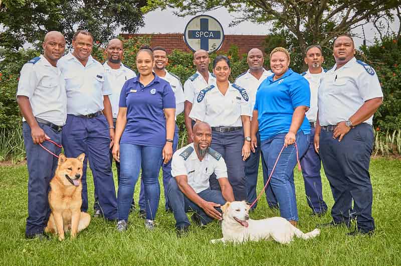 Your support was the best Christmas gift. Thank you!