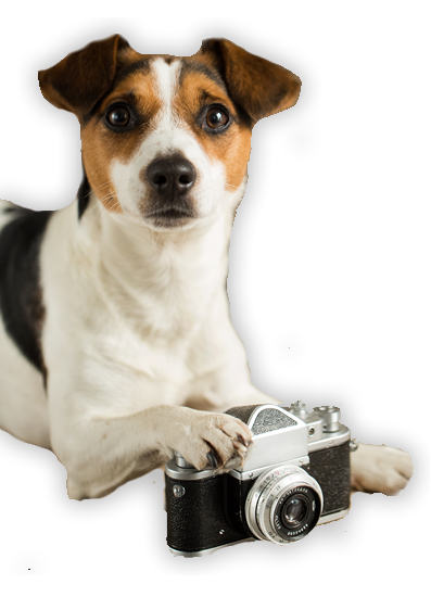 photo competition