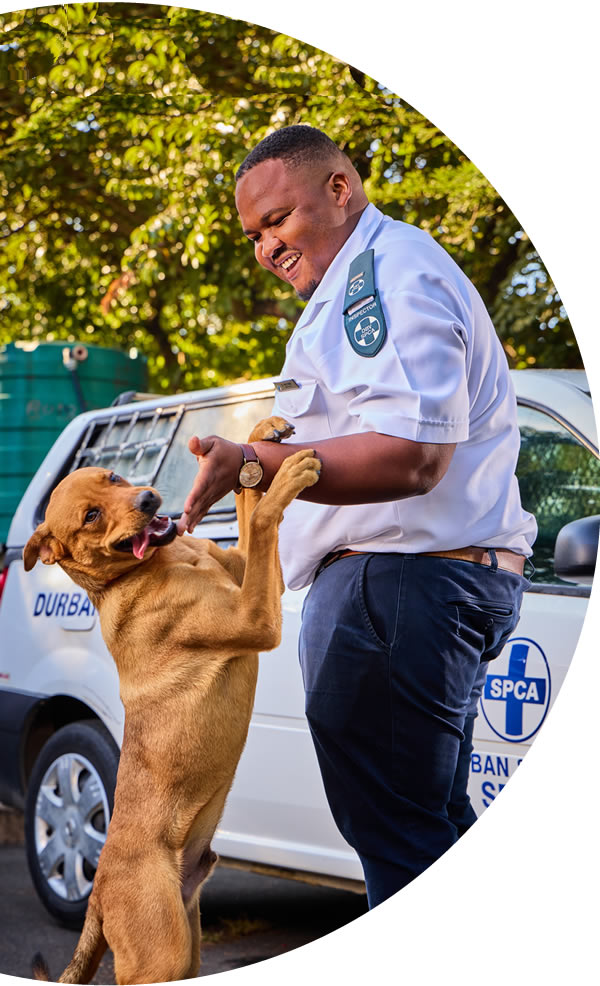 Inspector with dog