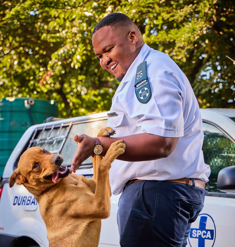 Inspector with dog