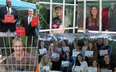 When Compassion Doesn’t Sleep