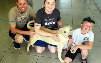 Share the joy of these happy tails!