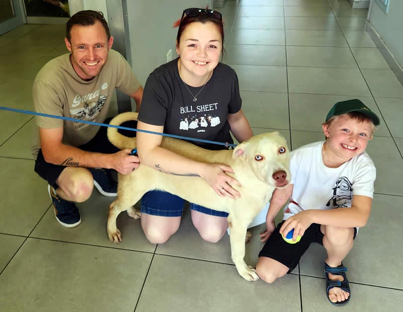 Share the joy of these happy tails!