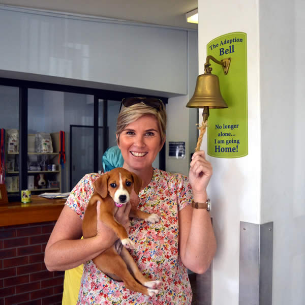 adoption-bell Adoption Bell