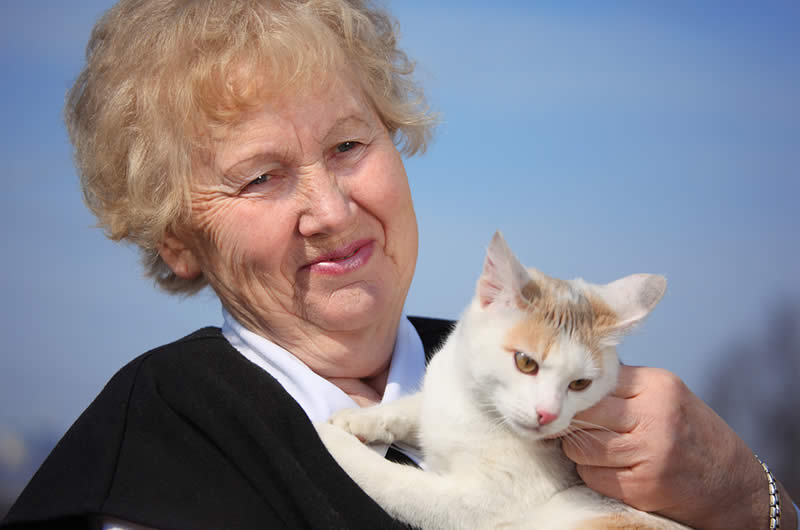 Can’t have a pet? Share one of ours!