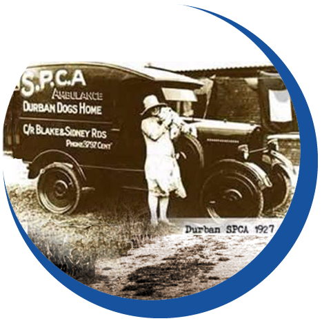 History of the SPCA