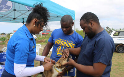 Taking animal care to where it’s needed most