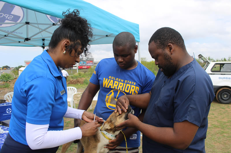 Taking animal care to where it’s needed most