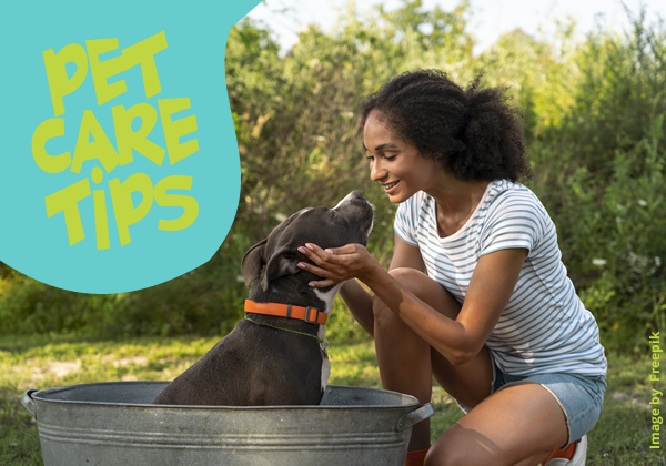 Pet  Care Tips