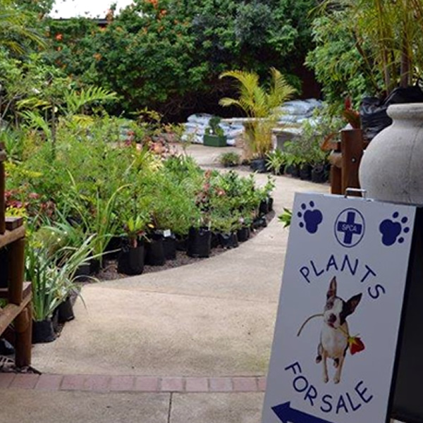 plant-nursery Inspector rescuing dog