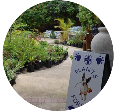 plant-nursery Plant nursery