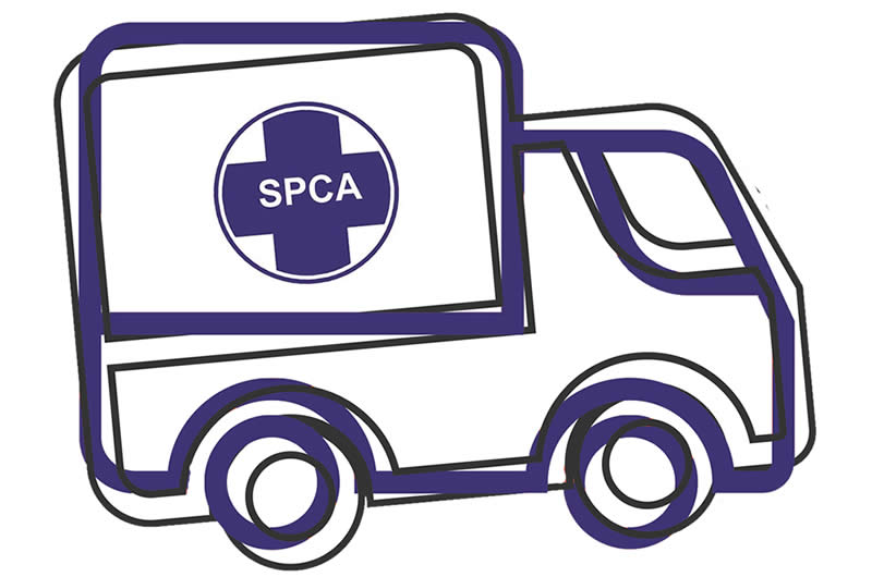 Moving to a smaller home?