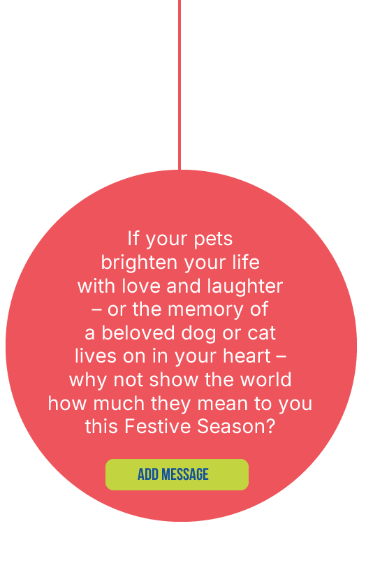 bauble