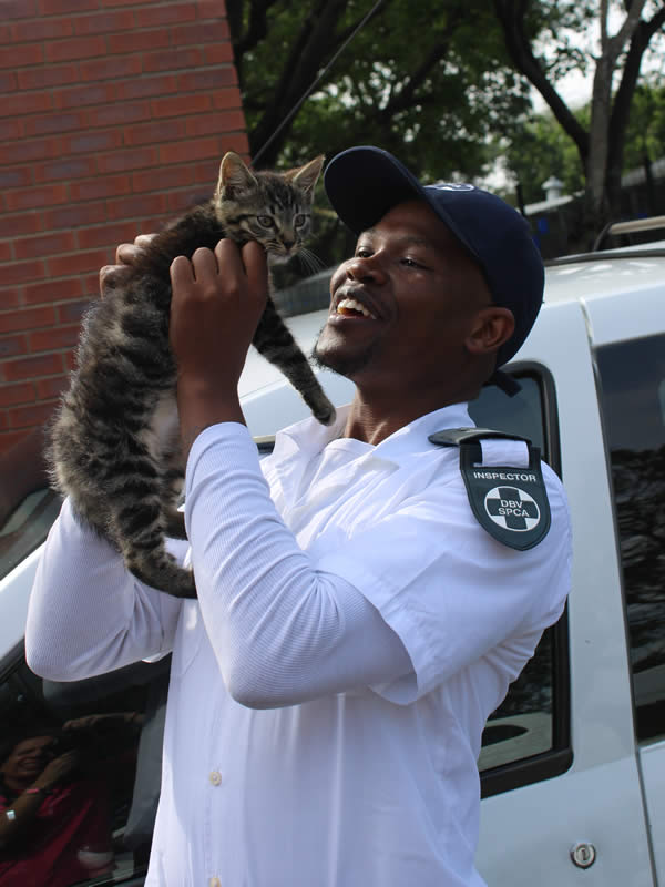 Inspector rescuing kitten