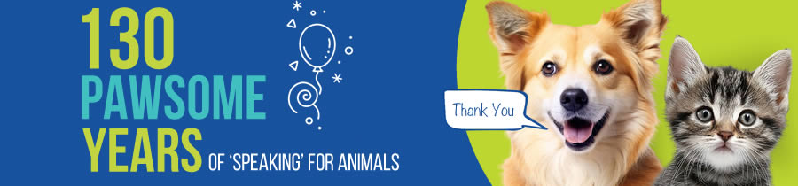 130th Anniversary banner