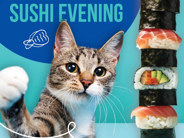 sushi evening
