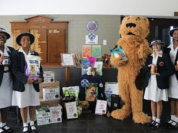 Hamptons Primary School