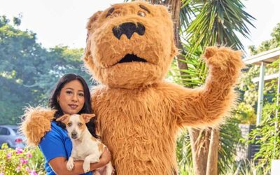 ‘Adopt a month’ schools’ pet food drive