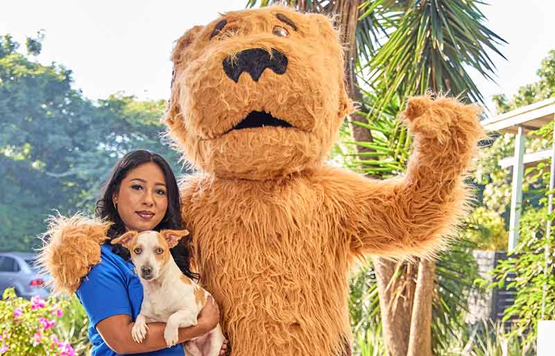 ‘Adopt a month’ schools’ pet food drive