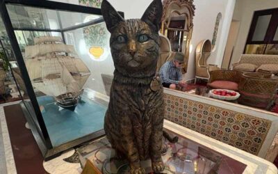 Heartwarming memorial to Skabenga – The Oyster Box cat