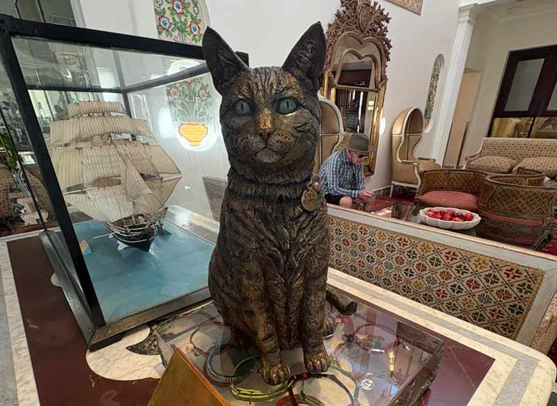 Heartwarming memorial to Skabenga – The Oyster Box cat