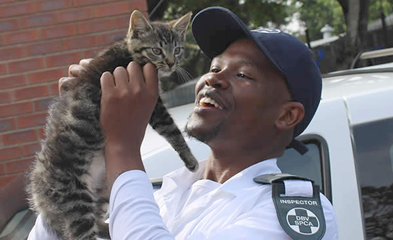130 pawsome years of ‘speaking’ for animals