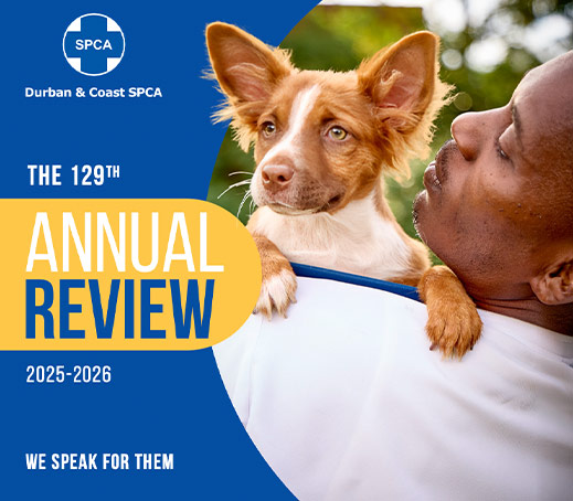 Annual report