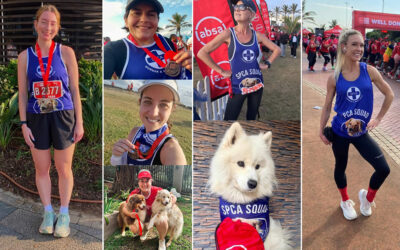 A huge ‘thank you’ to our ABSA runners