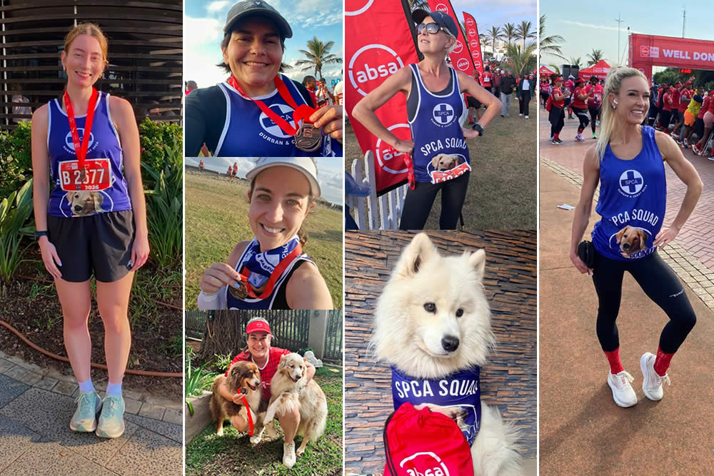A huge ‘thank you’ to our ABSA runners