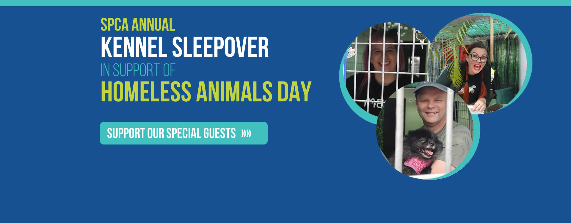 Kennel Sleepover