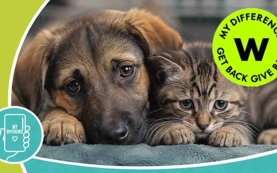 The animals are losing out on over R20 000 every month
