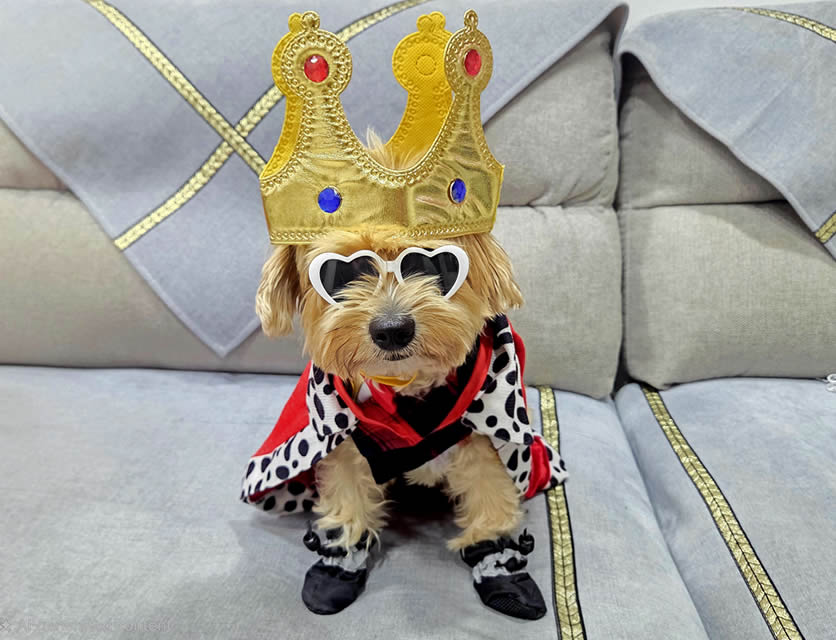 Prince