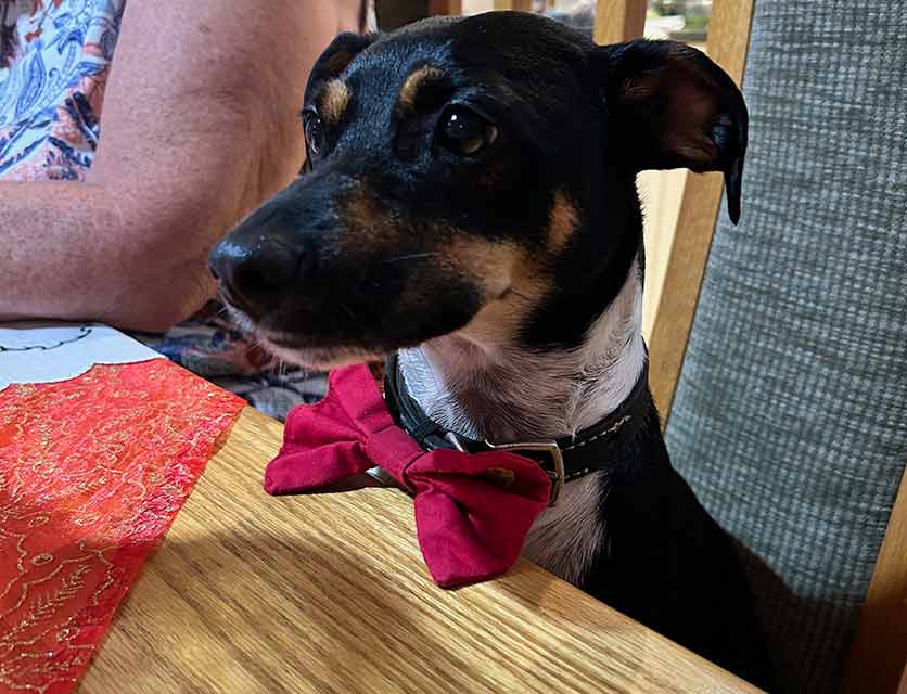 Max